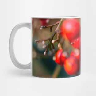 Photography - winter red berry Mug